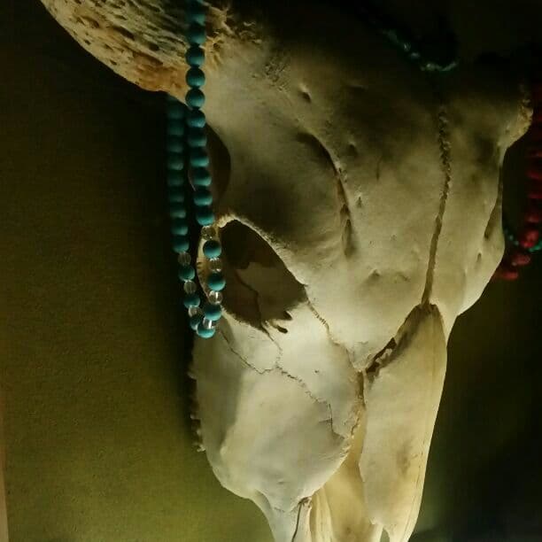 試験的出品　本物 バッファロースカルヘッド　牛頭骨　インテリア