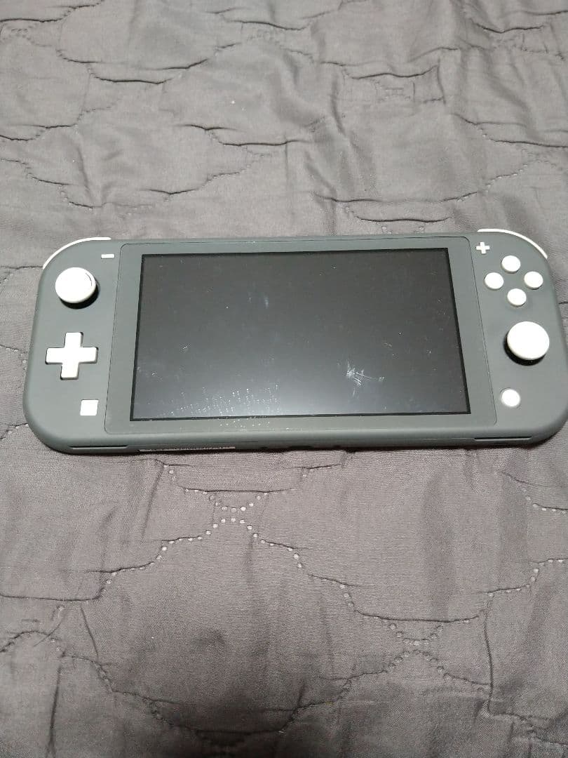 Nintendo Switch Lite 本体 箱 & カバー付き