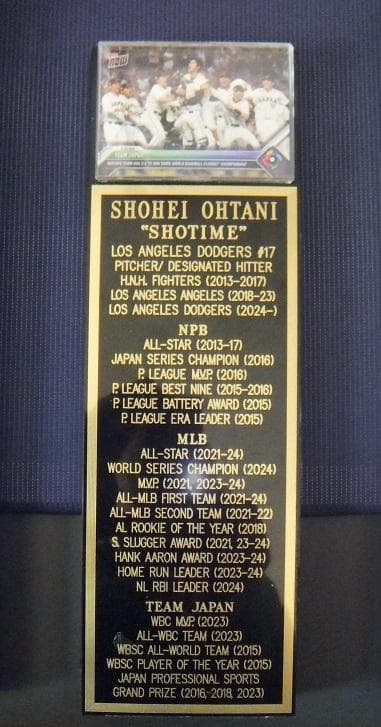 大谷翔平 WBC2023 侍JAPAN AWAYレプリカユニフォーム（刺繍）額入