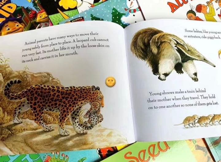 絵本・児童書 Let's read and find out science Stage 1