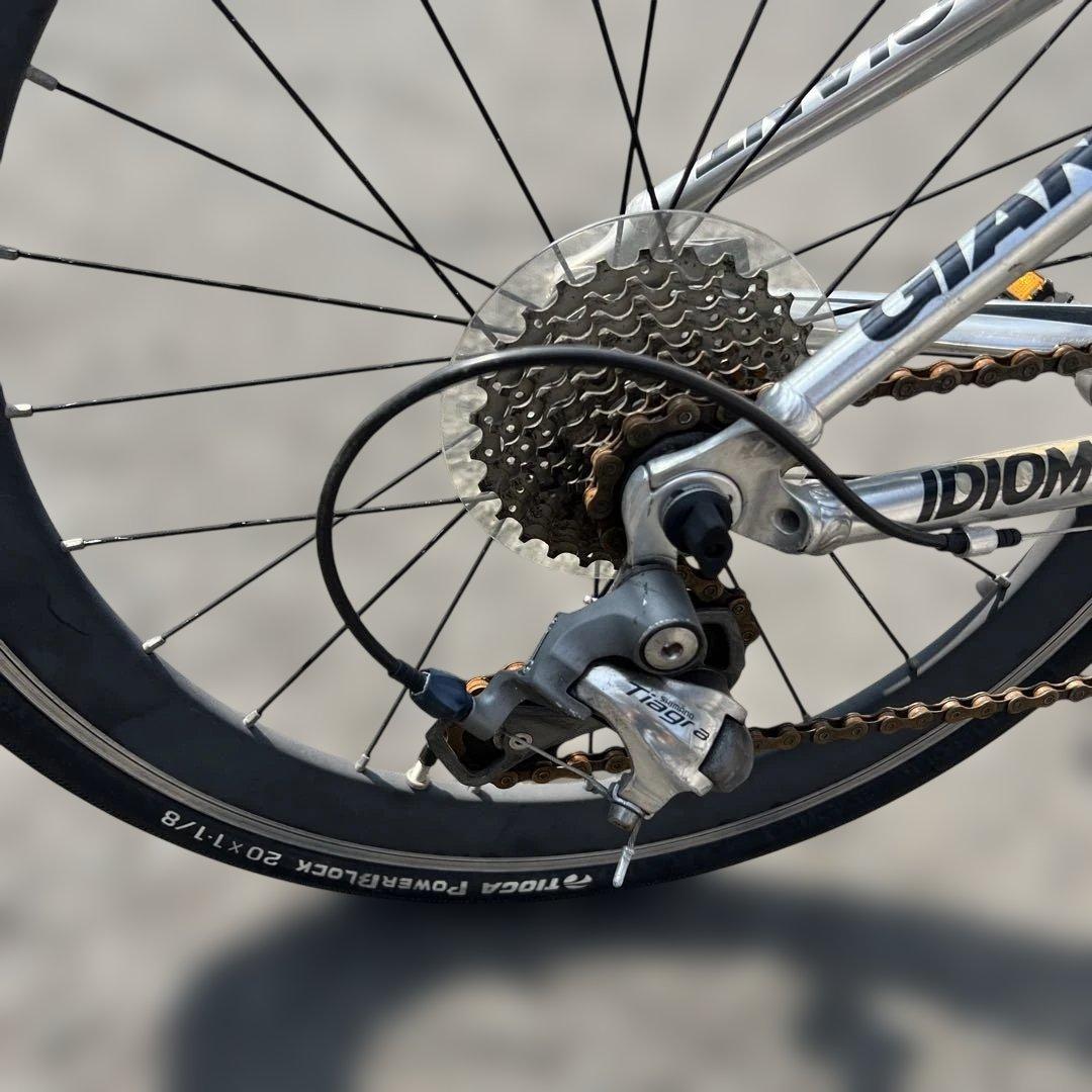 GIANT 折りたたみ自転車 IDIOM アルミ14インチ カーボンパーツ