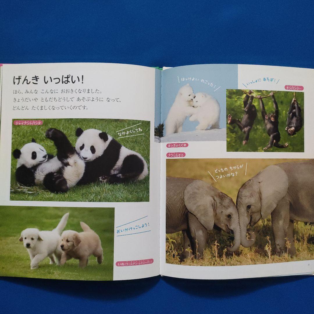 ビッグサイエンス　キンダーブックしぜん　どうぶつのあかちゃん　うまれる