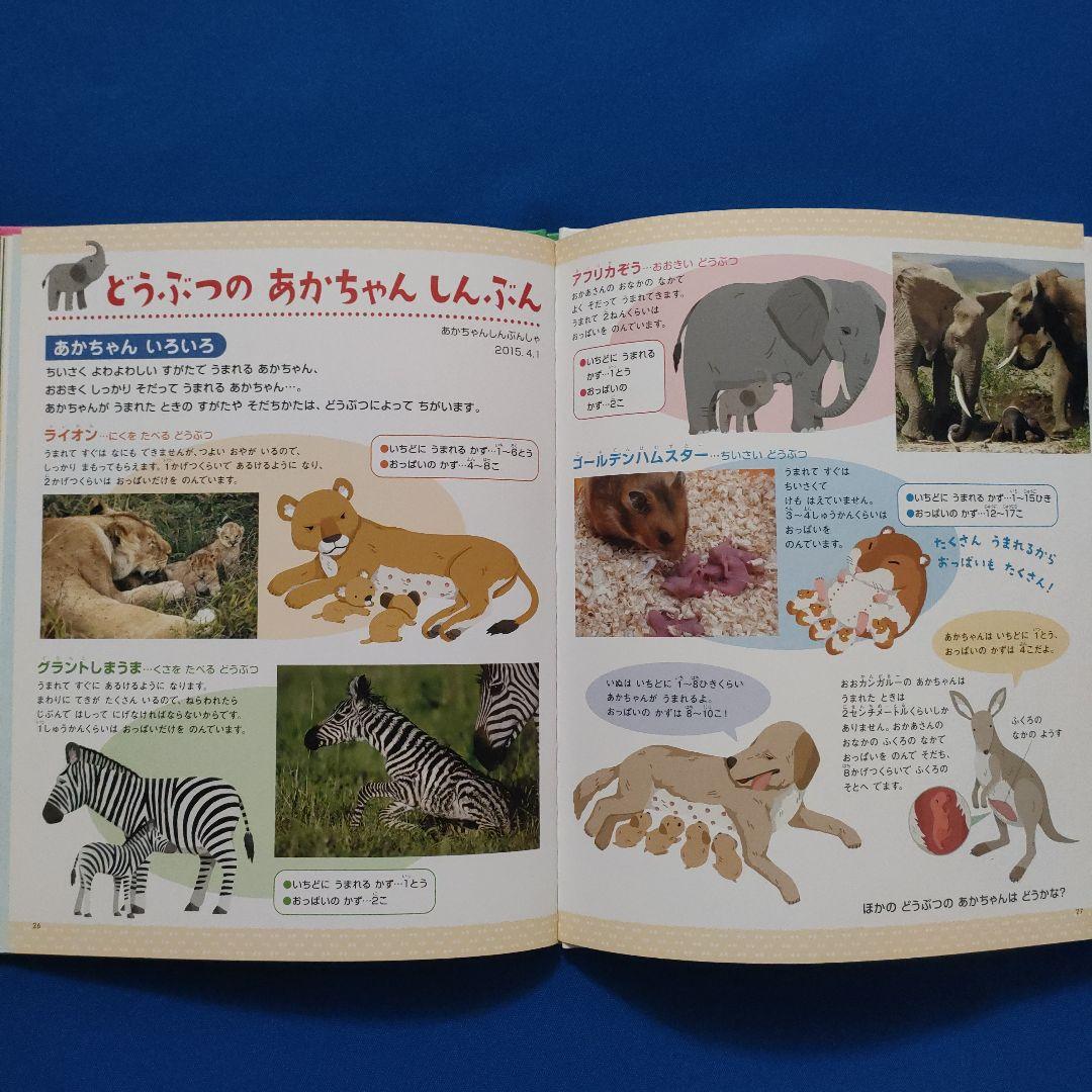 ビッグサイエンス　キンダーブックしぜん　どうぶつのあかちゃん　うまれる