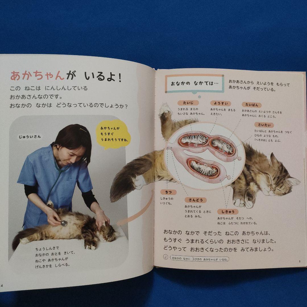 ビッグサイエンス　キンダーブックしぜん　どうぶつのあかちゃん　うまれる