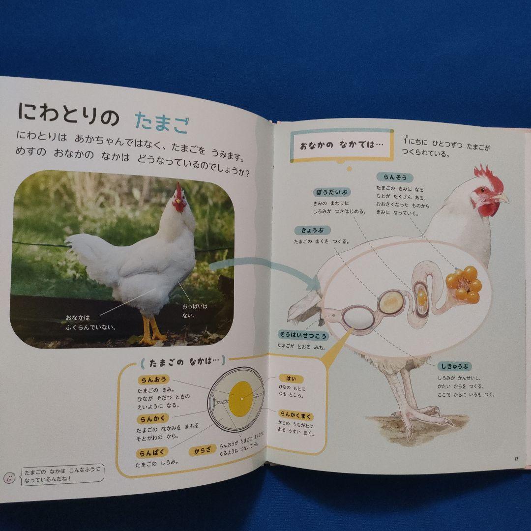 ビッグサイエンス　キンダーブックしぜん　どうぶつのあかちゃん　うまれる