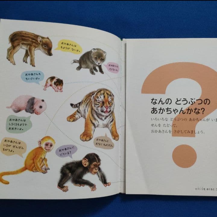 ビッグサイエンス　キンダーブックしぜん　どうぶつのあかちゃん　うまれる