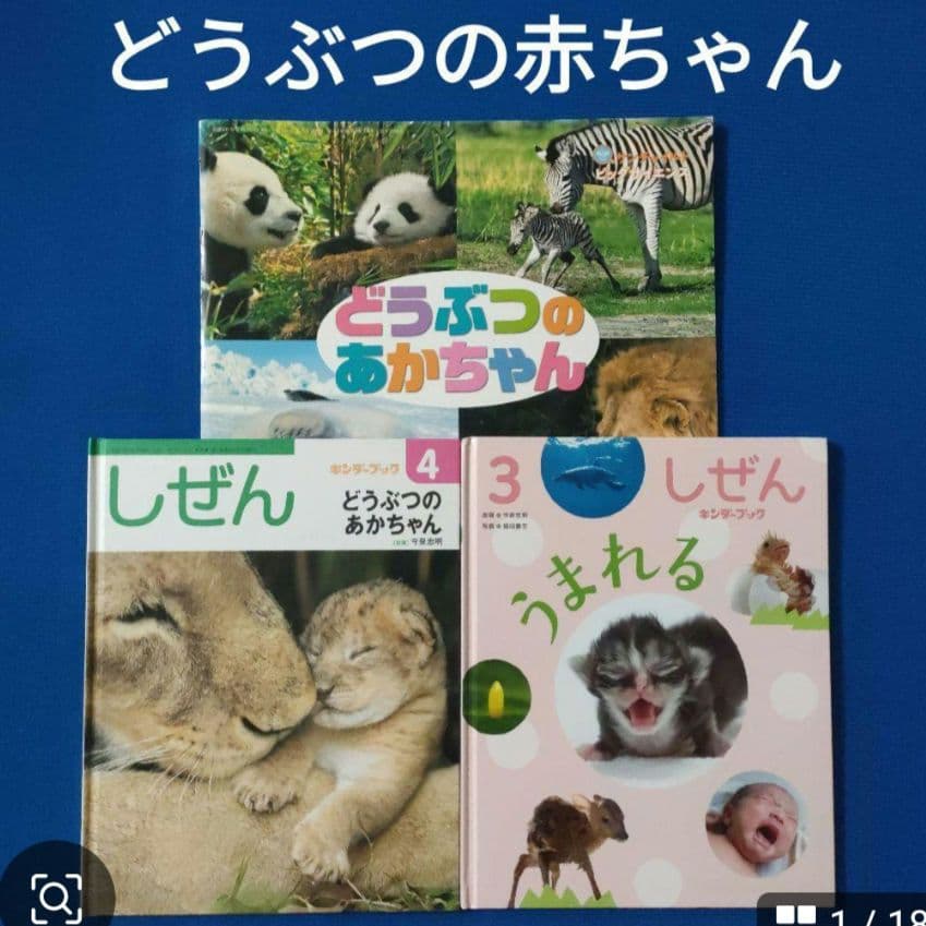 ビッグサイエンス　キンダーブックしぜん　どうぶつのあかちゃん　うまれる