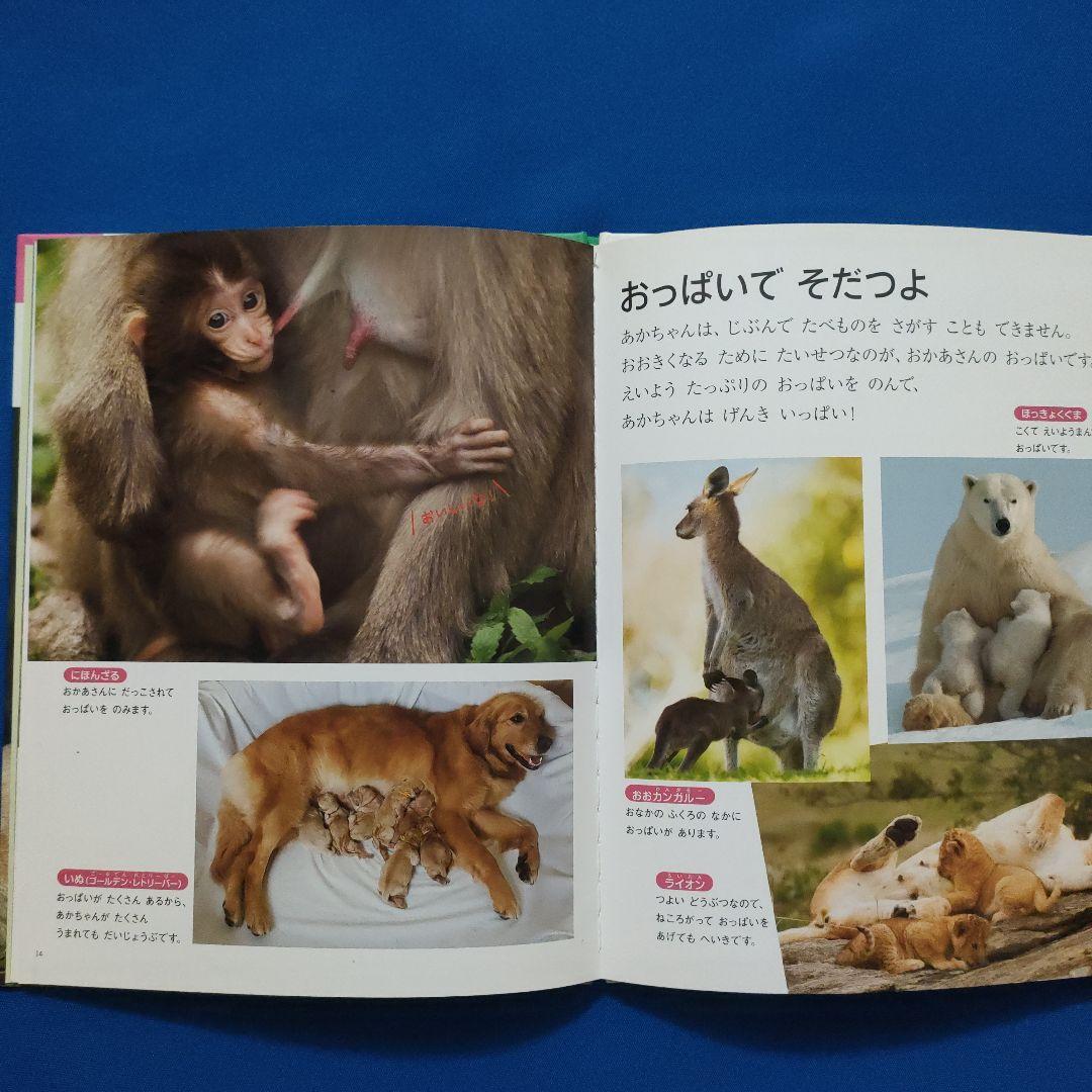 ビッグサイエンス　キンダーブックしぜん　どうぶつのあかちゃん　うまれる