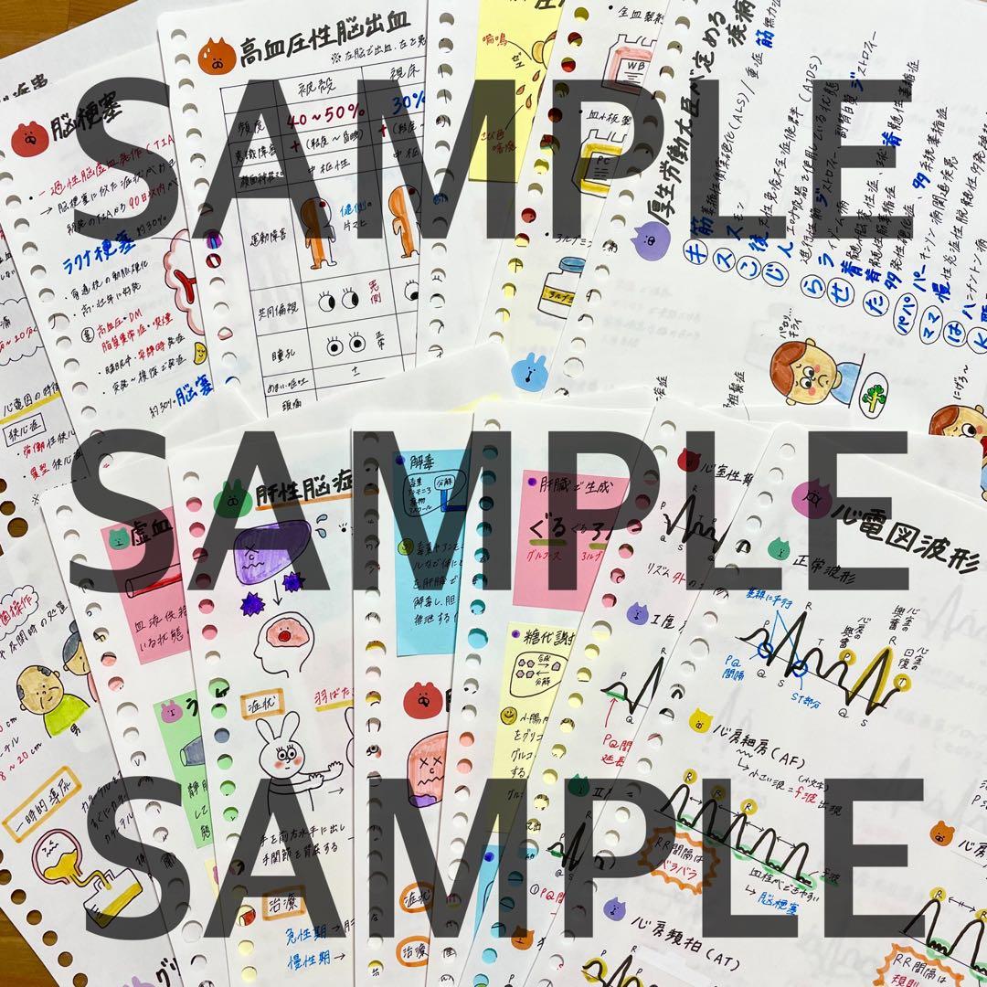 激安!! 看護師国家試験まとめノート 付箋ノート 国試 解剖生理学 看護学生