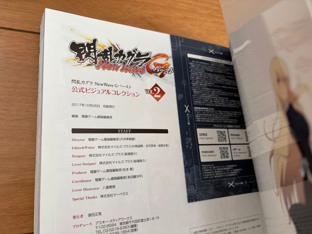 閃乱カグラ NewWave Gバースト 公式ビジュアルコレクション VOL.2