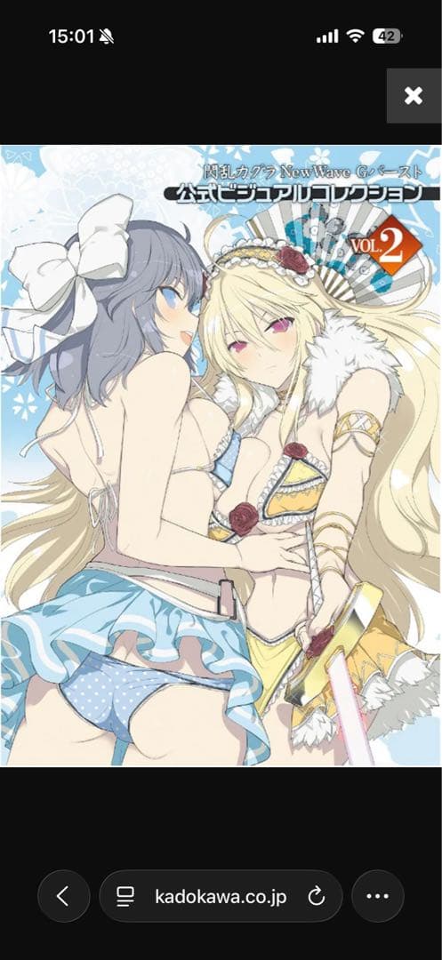 閃乱カグラ NewWave Gバースト 公式ビジュアルコレクション VOL.2