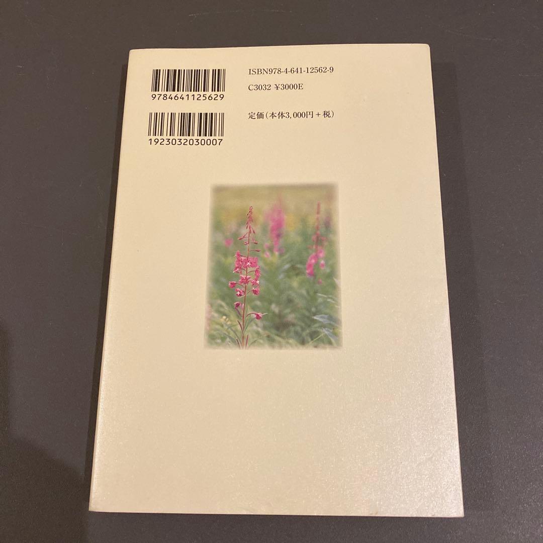 【入手困難】星野英一先生の想い出 内田貴 大村敦志 星野美賀子 有斐閣