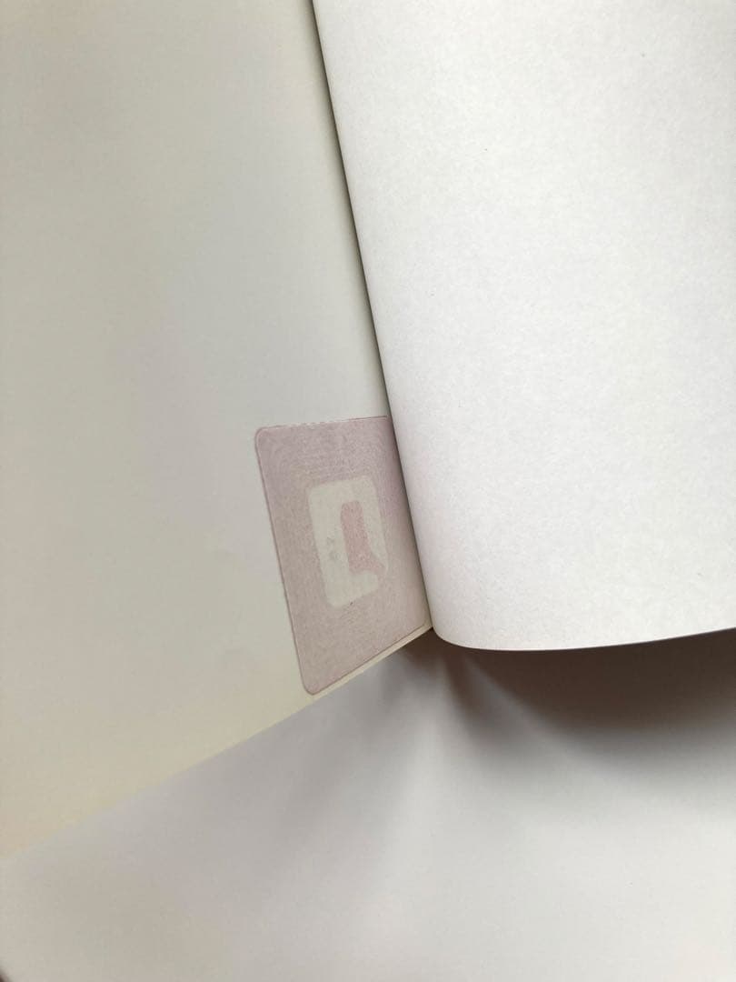 Ursula Kaufmann　ピナ・バウシェPina Bausch写真集セット