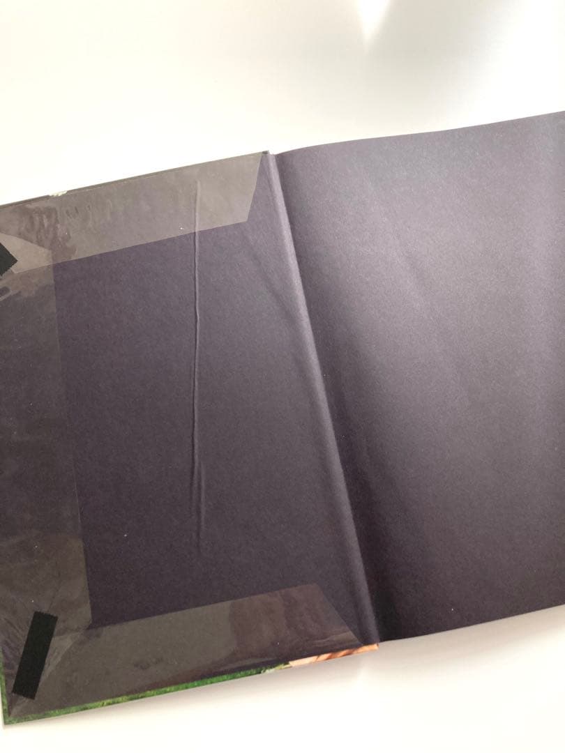 Ursula Kaufmann　ピナ・バウシェPina Bausch写真集セット