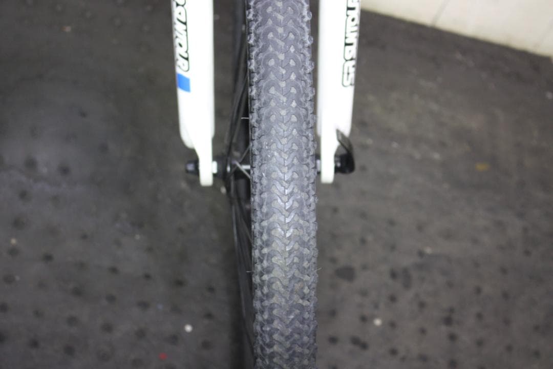 ルイガノ LGS-J24 24型 アルミ 21速 300mm本格子供用MTB 黒