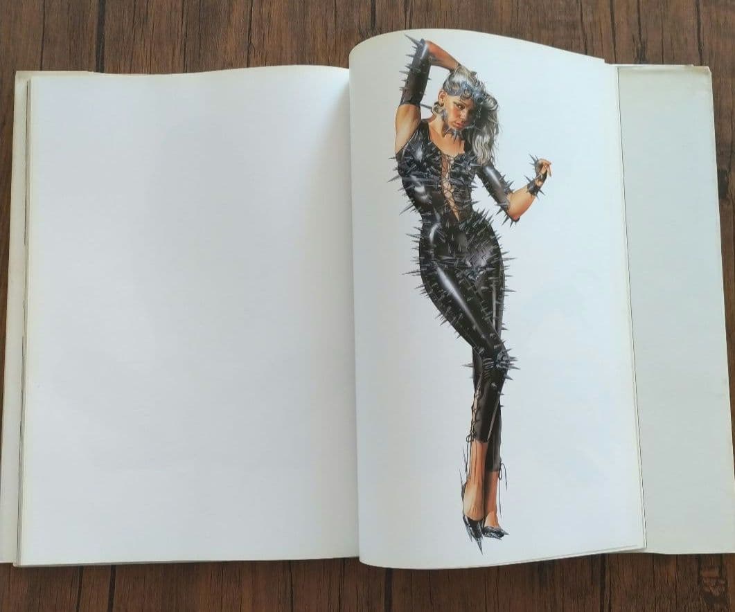 ガイノイド　THE GYNOIDS　/　空山基