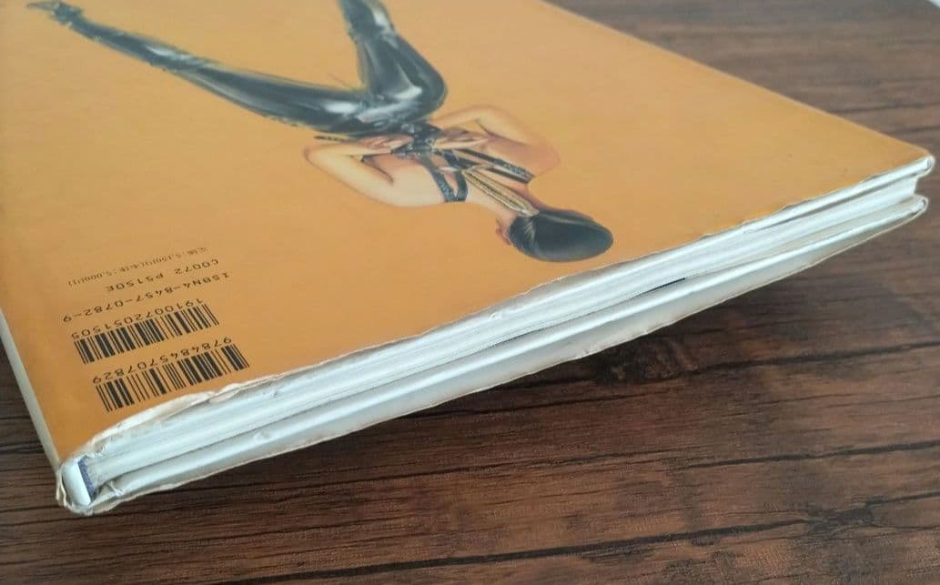 ガイノイド　THE GYNOIDS　/　空山基