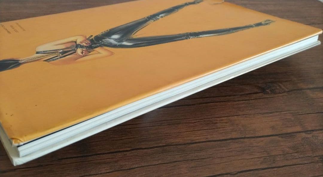 ガイノイド　THE GYNOIDS　/　空山基