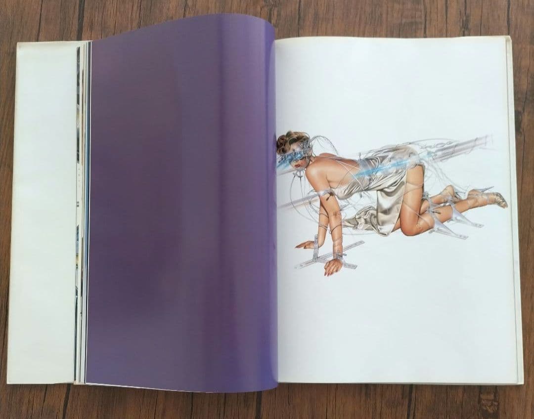 ガイノイド　THE GYNOIDS　/　空山基