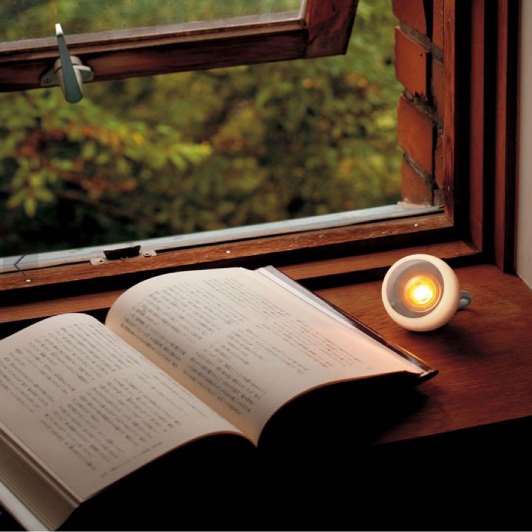 【新品未使用】 peak たねほおずき もり 廃盤品