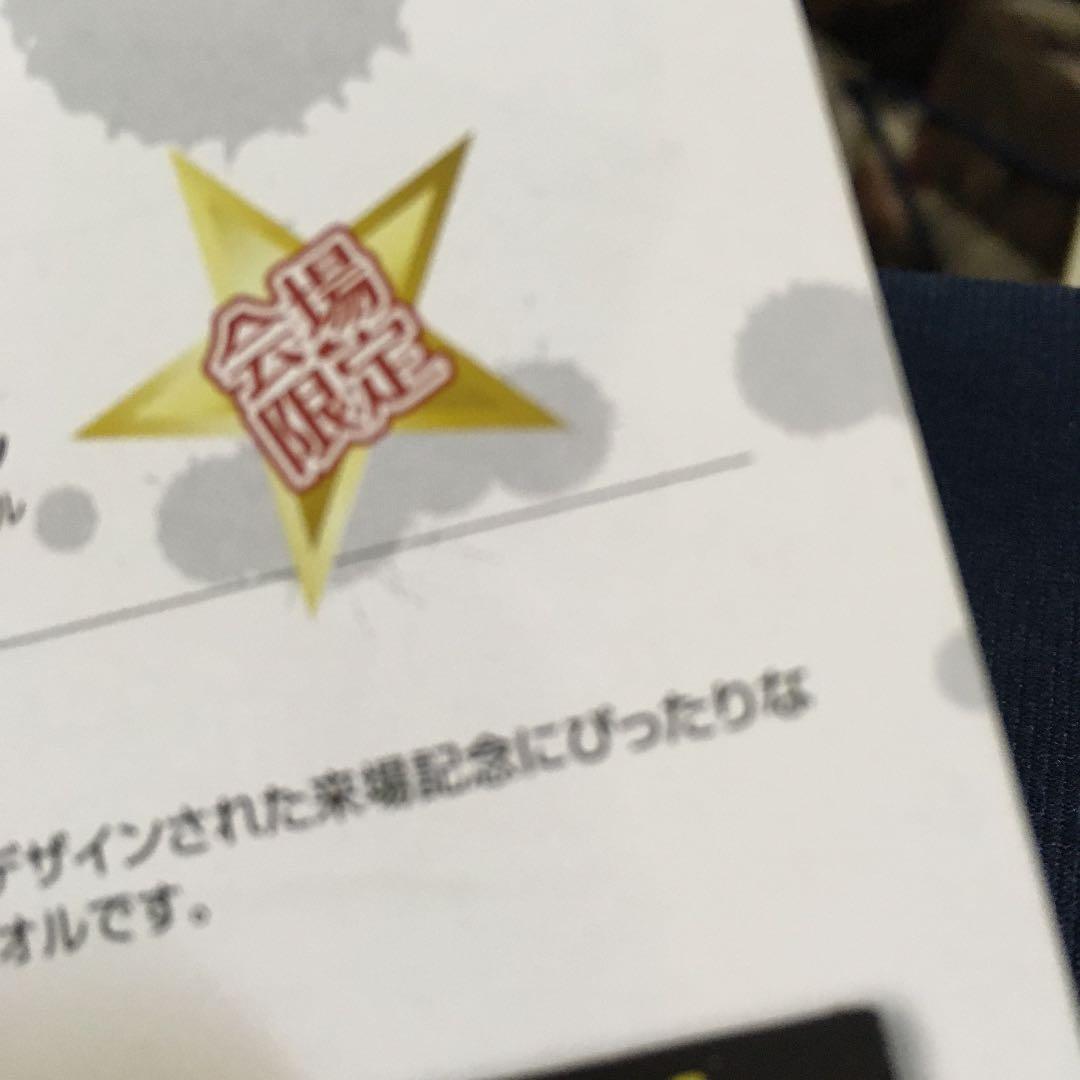 矢沢永吉ビーチタオル