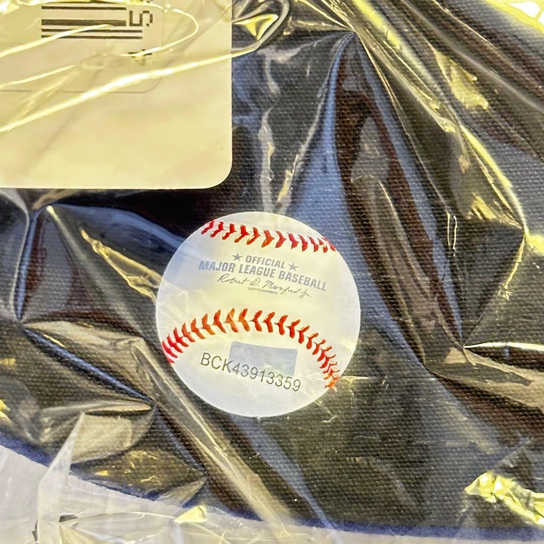 【新品】ロサンゼルス・ドジャース/キャップ/2025年/開幕戦★レア★⑤