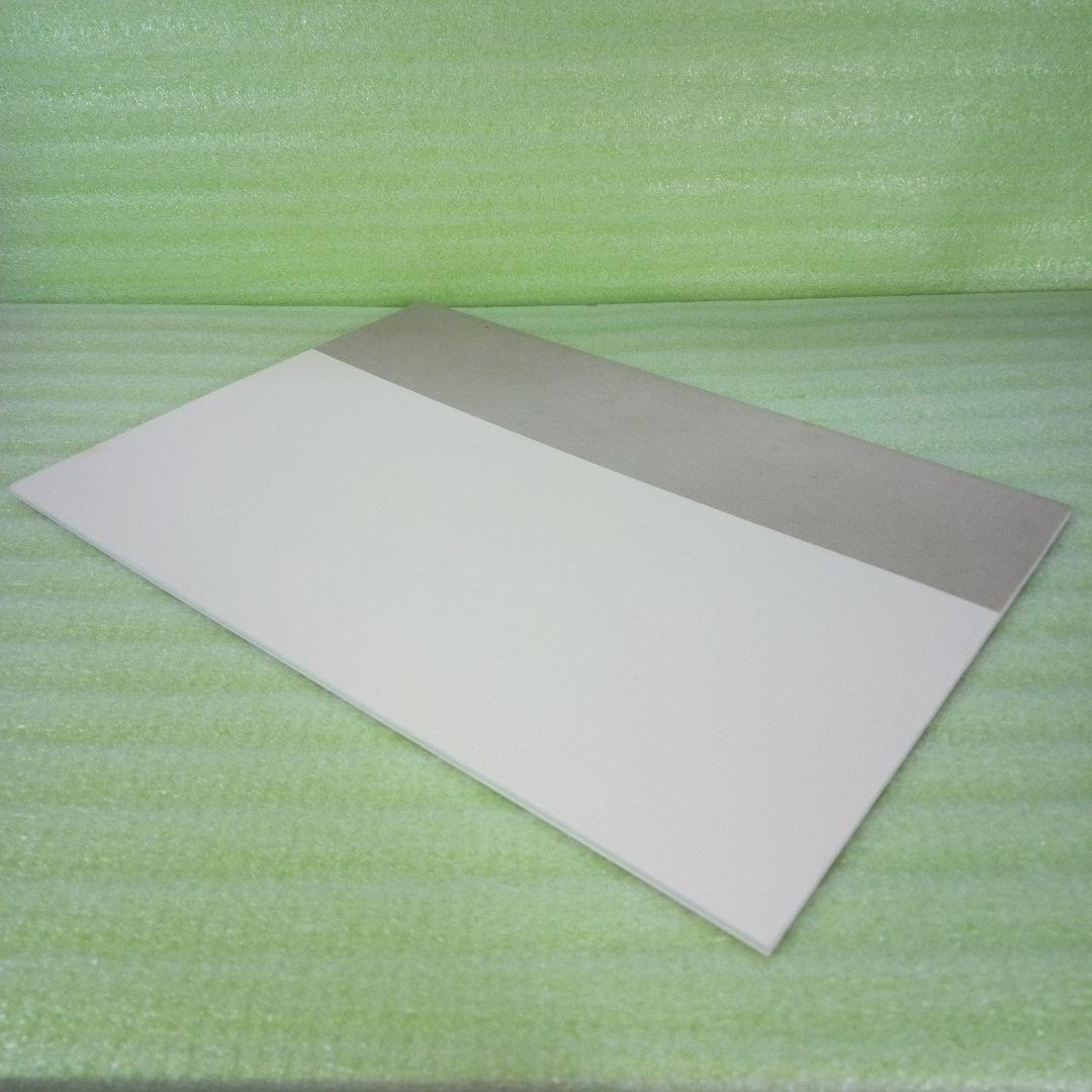 Gustavo ISOE　磯江 毅　1994-2004　図録　②　彩鳳堂画廊