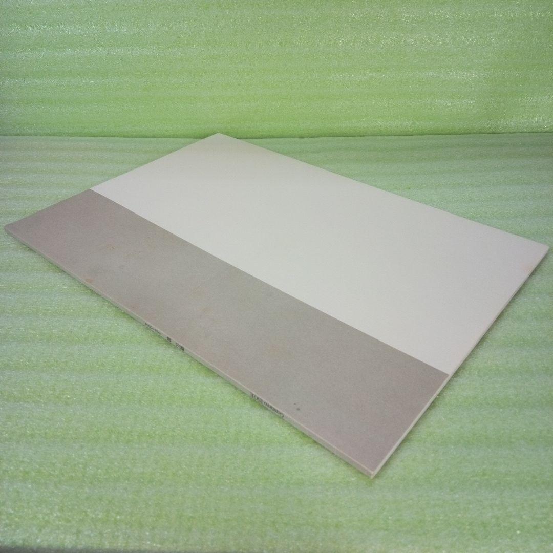 Gustavo ISOE　磯江 毅　1994-2004　図録　②　彩鳳堂画廊