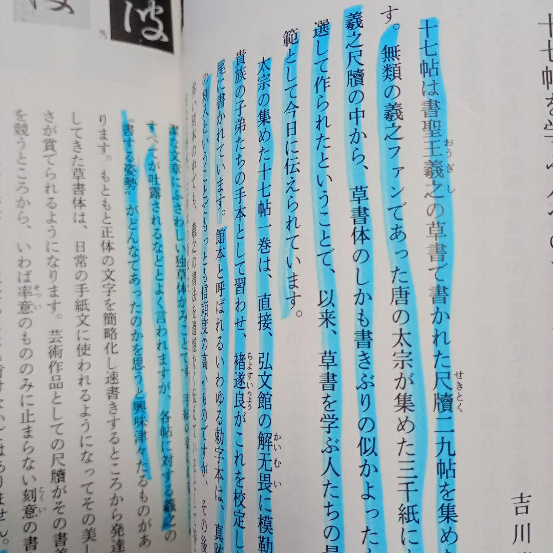 中国法書ガイド 11冊 セット まとめ売 二玄社 王羲之 顔真卿 欧陽詢 楮遂良