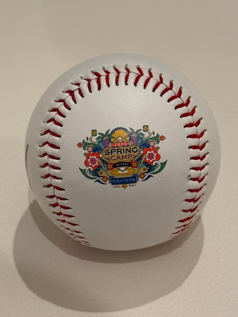 北海道日本ハムファイターズ名護キャンプ球　伊藤大海選手直筆サインロゴボール写真