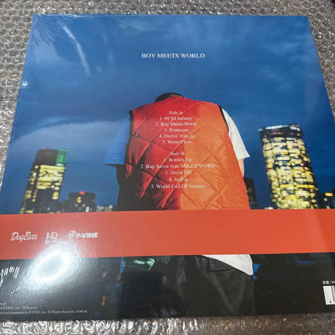 仙人掌 BOY MEETS WORLD レコード LP jjj 新品未開封 ③