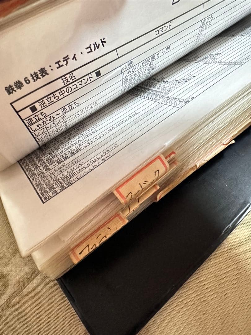 店舗用鉄拳6技表ファイル バンダイナムコゲームス非売品 namco