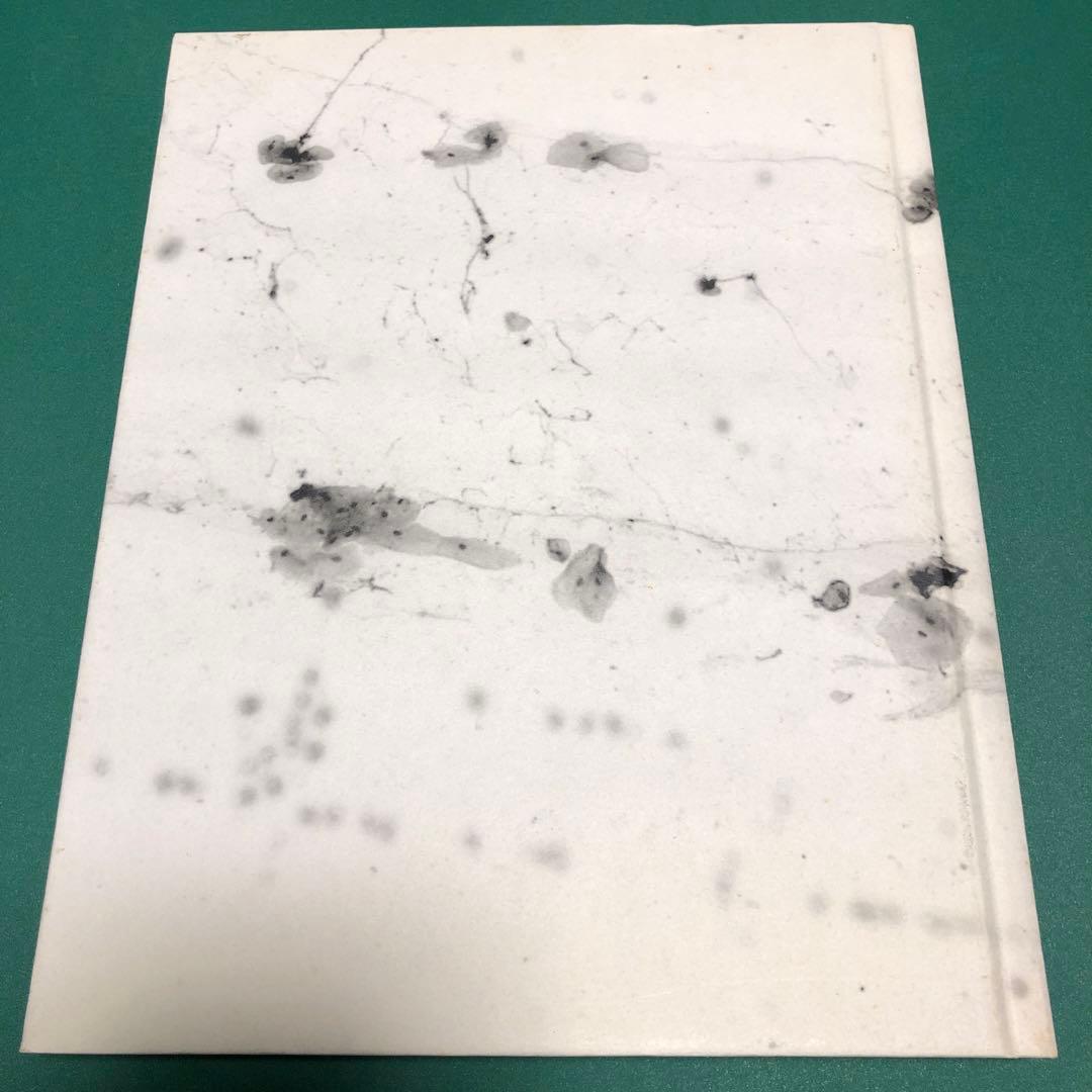 【サイン入り】Aleix Plademunt / ALMOST THERE