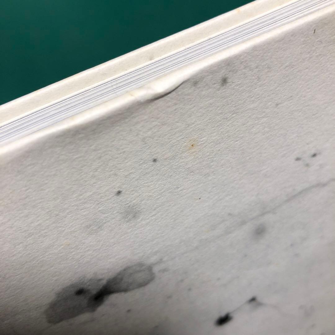 【サイン入り】Aleix Plademunt / ALMOST THERE