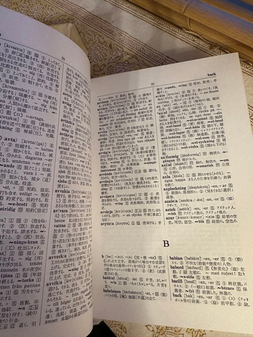 スウェーデン語辞典