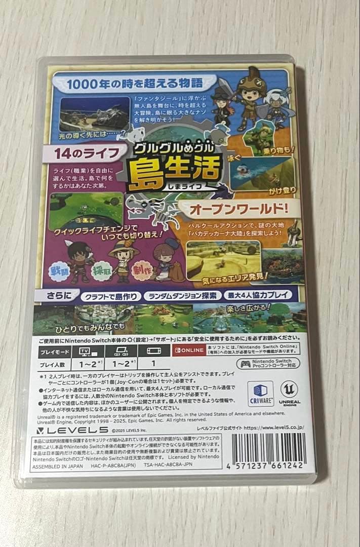 Nintendo Switch FANTASY LIFE i Nintendo Switch