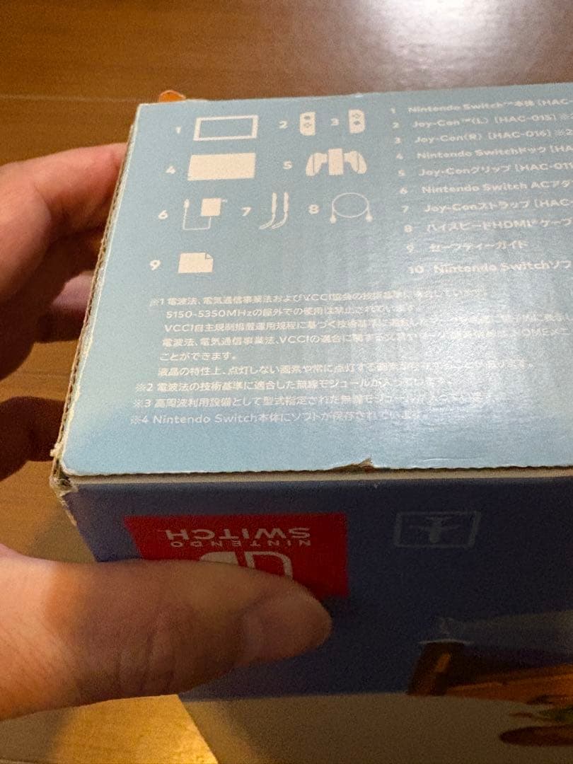 Nintendo Switch どうぶつの森セット