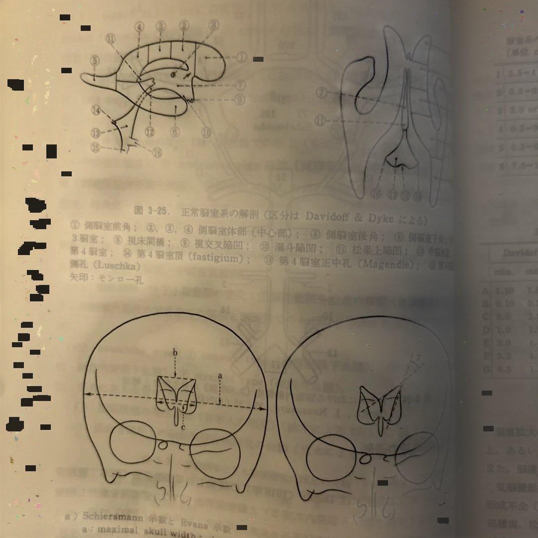 【レア】臨床精神医学ハンドブック