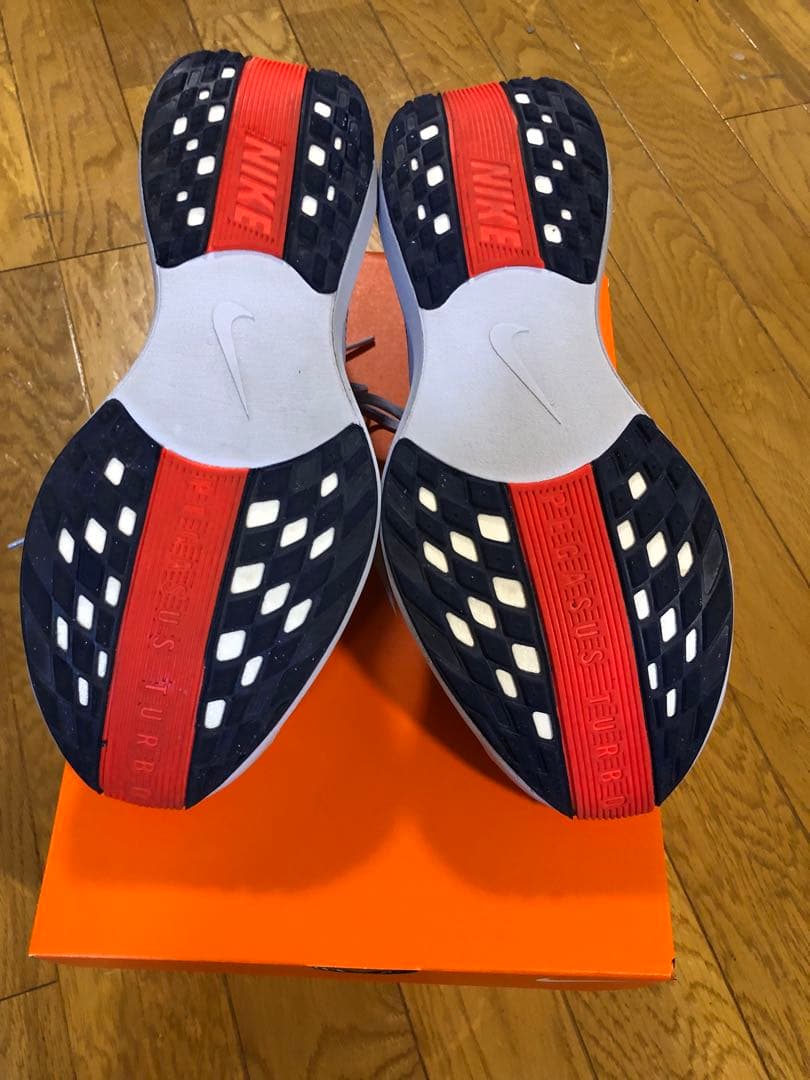 Nike　ナイキ　ペガサス プラス　27.5cm　メンズ