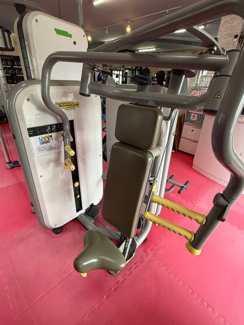 皆*ば様 胸部筋トレTECHNOGYM チェストプレス現地引き取り可能な方(沼津