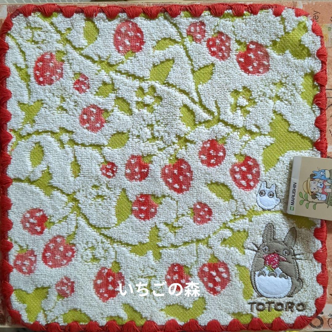 みえちんさんです✨