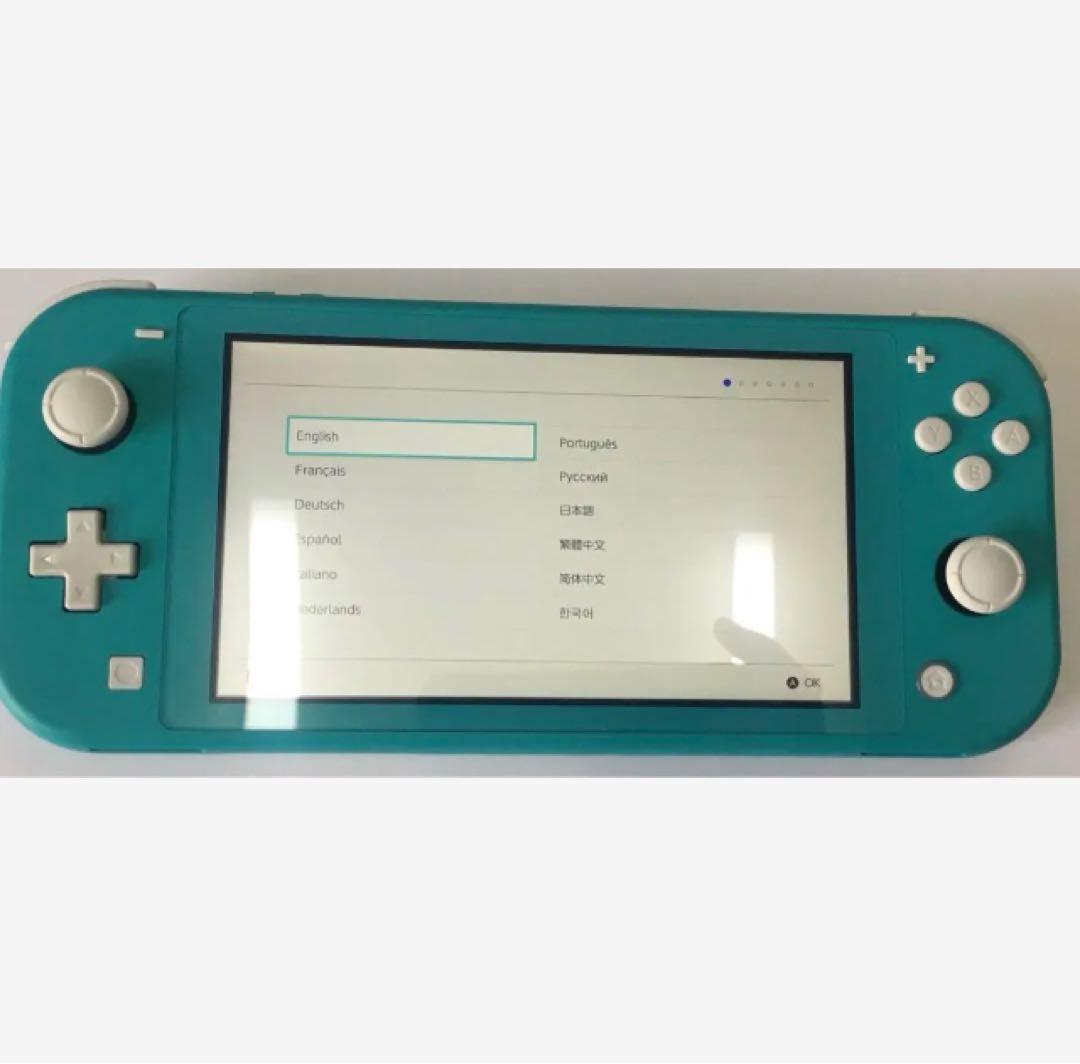 【限定値引】Nintendo Switch Lite/保護フィルム/ハードポーチ