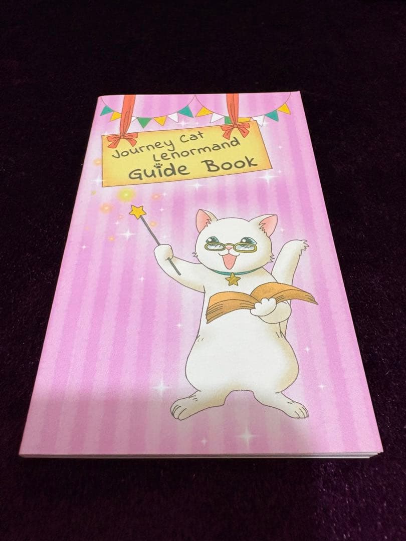 いちばんていねいなルノルマンカード セット占い2箱付き