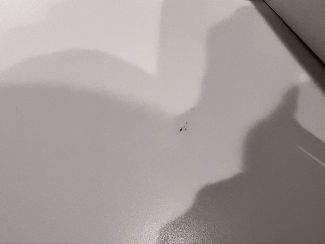 白いkotori　LOWYA キッチンボード 幅160cm ウォールナット