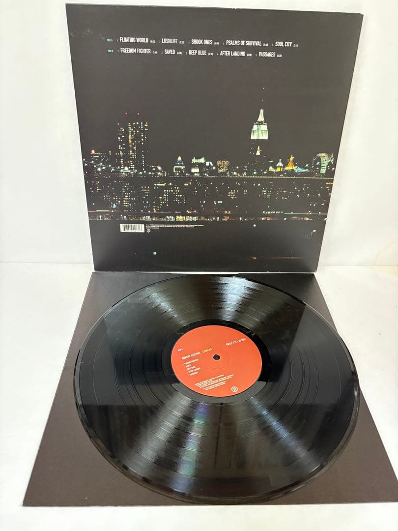 激レア‼️BOWERY ELECTRIC LUSHLIFE