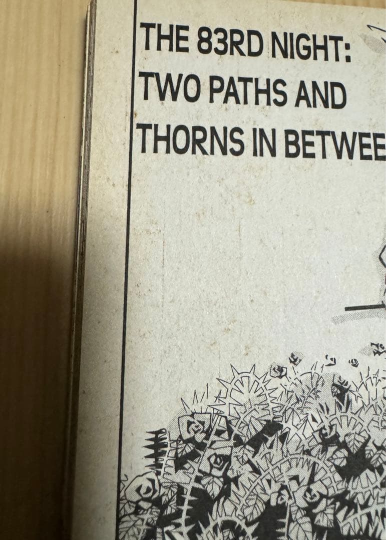 D.Gray-man 英語版　漫画　English Manga