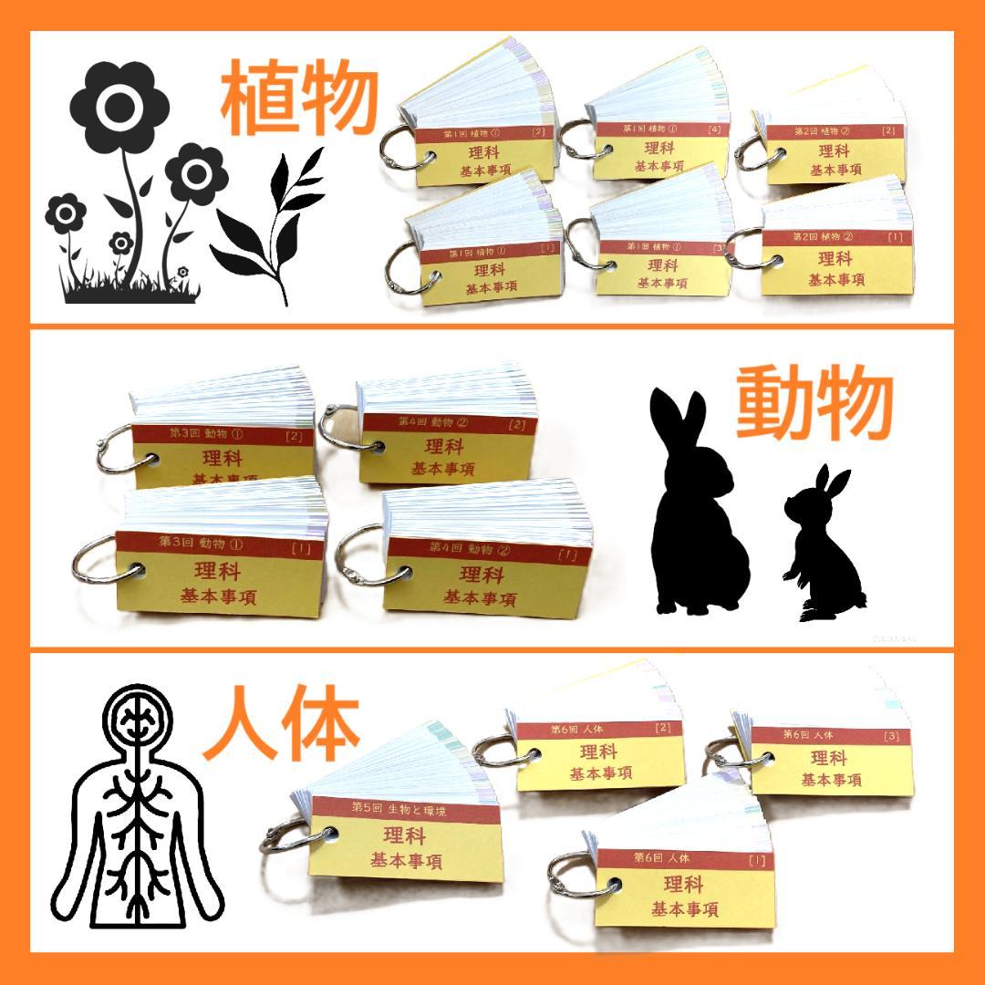 【Beginner】理科の基本事項/サーパス 国語3点セット 暗記カード