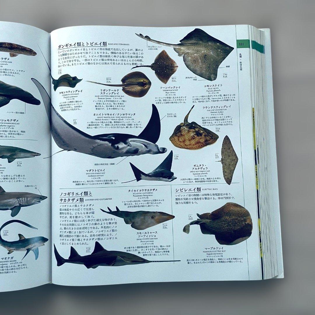 地球博物学大図鑑 新訂版