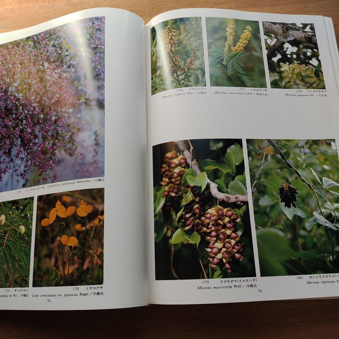 琉球の植物 　初島住彦・中島邦雄 著