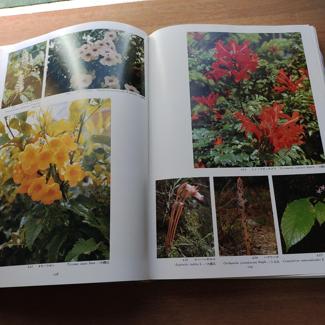 琉球の植物 　初島住彦・中島邦雄 著